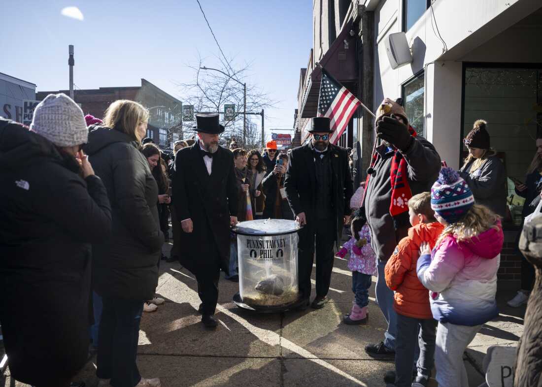 Punxsutawney Phil tours the town as visitors stop to catch a glimpse of him on Saturday.