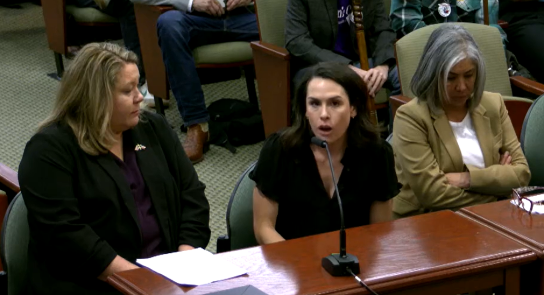 Alexandra Hess speaks to a committee in the Texas Legislature about her late brother's mental health crisis and use of THC.