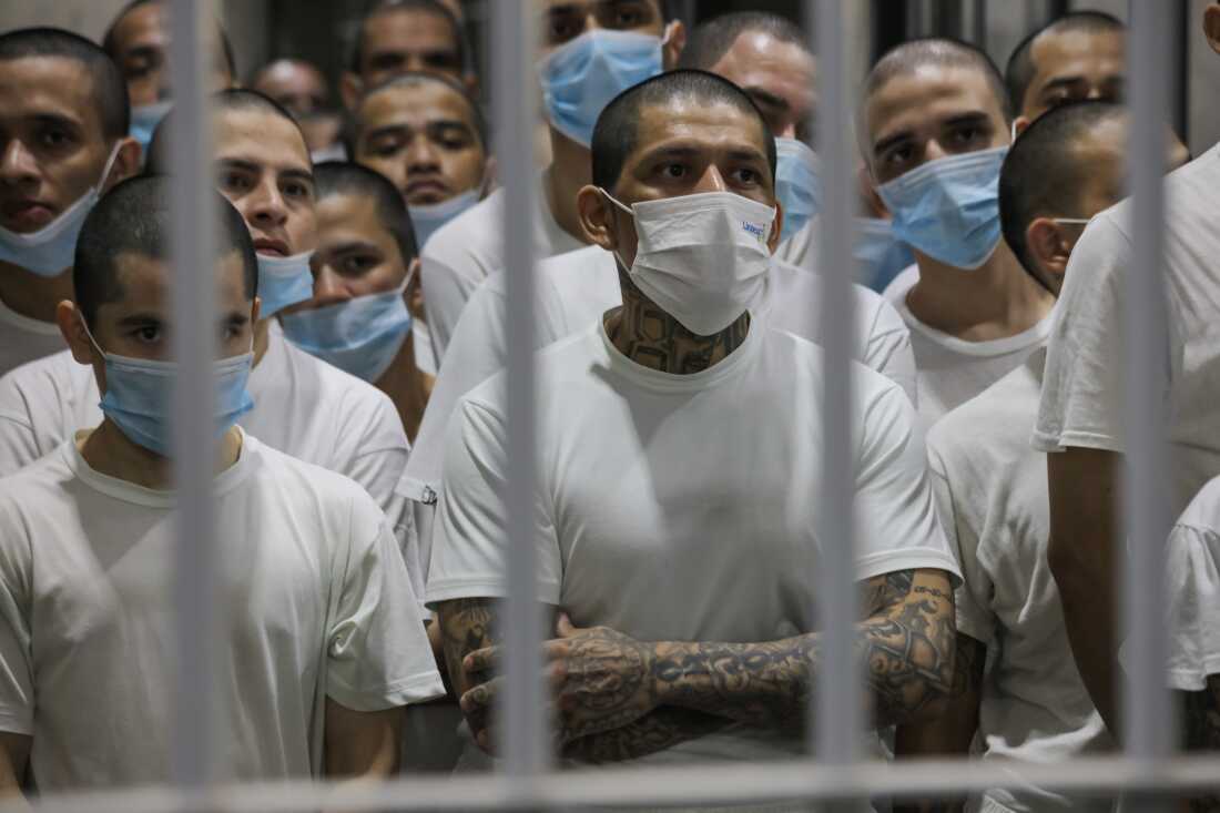 Alleged gang members seen in a cell at the Terrorism Confinement Center (CECOT) in Tecoluca, in San Vicente, El Salvador on April 04, 2025. Following the deportation of hundreds of migrants from the United States to El Salvador, it became a resource for the Donald Trump administration in implementing its immigration policy. The Trump administration is now weighing whether it's legally possible to send U.S. citizens there.