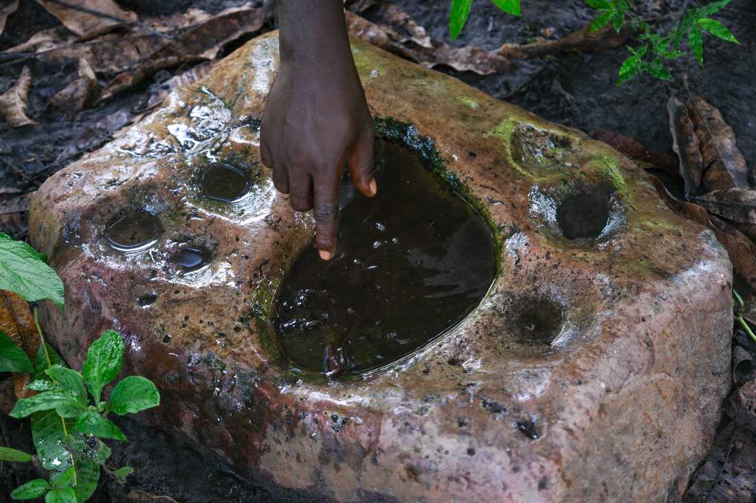Kansala, Guinea-Bissau (September 24, 2024) - Ibou Sane, a son of Tombon Sana, who is the guardian of the Kansala site, shows a site where warriors would most likely come to bless their swords before going into battle in the now gone city of Kansala, the capital of the Kingdom of Kaabu.