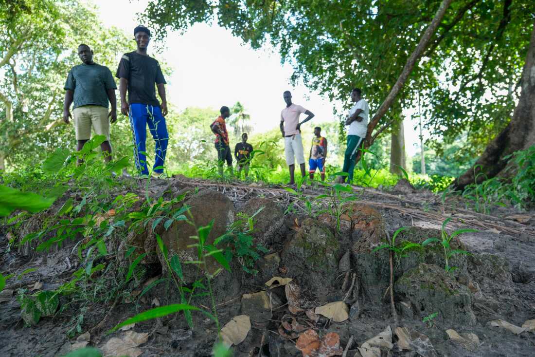 Kansala, Guinea-Bissau (September 24, 2024) - Residents of nearby Durabali stand on the Kansala site, shows the area where the city's gunpowder house was located. Griots had for generations sung that Kansala ended by blowing up the gunpowder house when it was under attack from a neighboring kingdom. The archeologicl dig's findings of remnants and deposits confirmed this is a strong possibility.