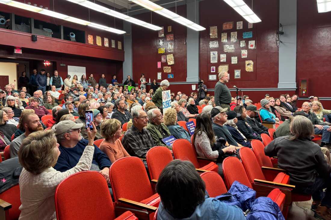 Hamilton city leaders moved a weeknight March meeting on federal cuts to a school auditorium to fit a crowd of people concerned that Trump’s reshuffling would change the nature of their town. Kim Hasenkrug, a former Rocky Mountain Labs researcher of 31 years, who retired in 2022, was among those who asked city councilors to try to buffer Hamilton from federal cuts.