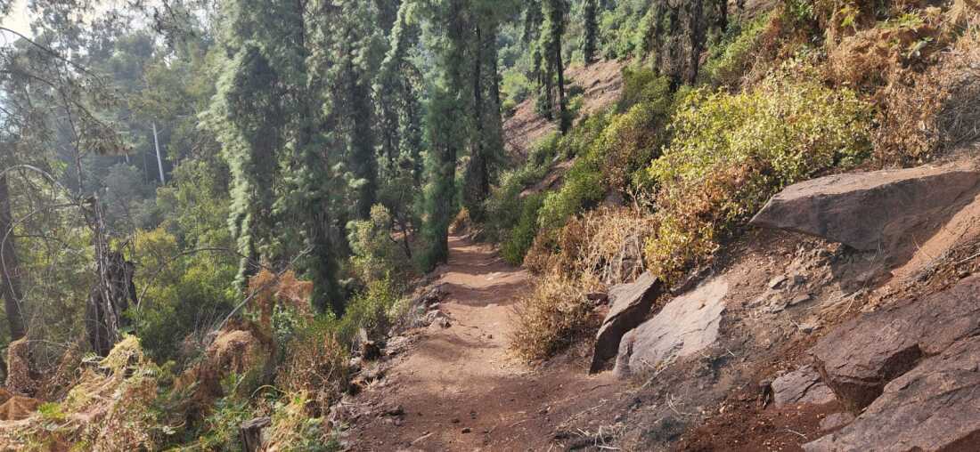 The hills above Santiago, Chile, offer a bit of wildness in the midst of a bustling capital city.