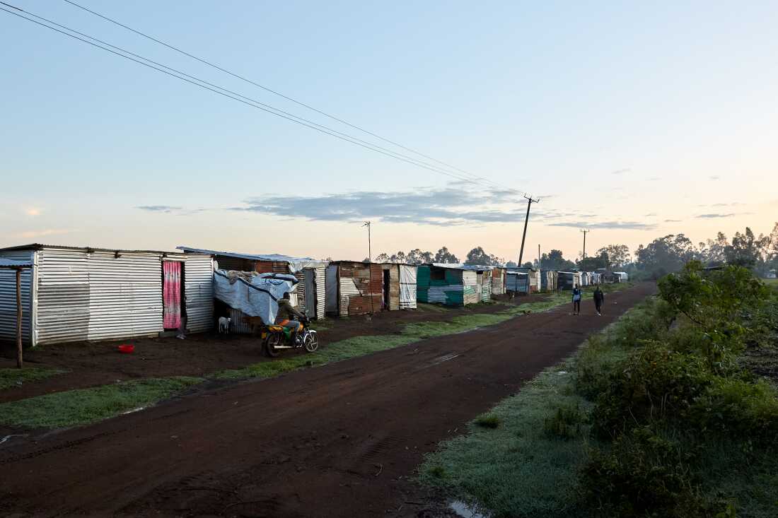 Temporary shelters set up near the road on the way to Nduru Beach, Kisumu, Kenya, 2025. These Temporary shelters were set up after the floods (backflow) begin 2020.