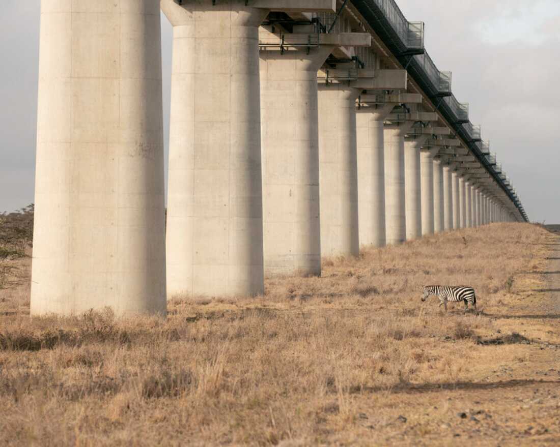 Railway bridge. Nairobi National Park.Kenya Nairobi National Park, established in 1946, is the only national park in the world bordering a major capital city. Home to lions, rhinos, giraffe and the remnants of a once-thriving wildebeest migration, the park has faced increasing pressure from urban expansion and infrastructure projects. The Chinese-built Nairobi-Mombasa railway now cuts through the park on an elevated bridge, prioritising cost-saving over conservation. Further developments, including proposed hotels and fencing plans, threaten to sever the park from critical wildlife corridors, turning a once-open ecosystem into an enclosed and managed space.
