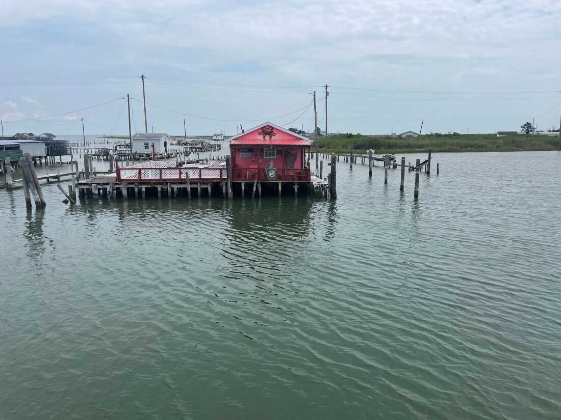 Tangier Island's harbor includes many buildings like this, known as "crab shanties," where crabs are held in tanks until they molt.