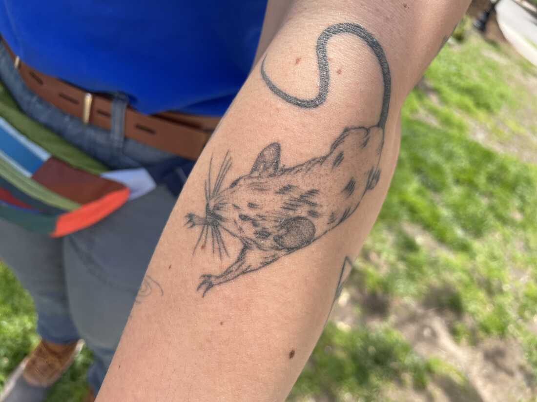 Alicia Privett, the 'rat czar' of Somerville, Mass. has a picture of her nemesis tattooed on her arm.