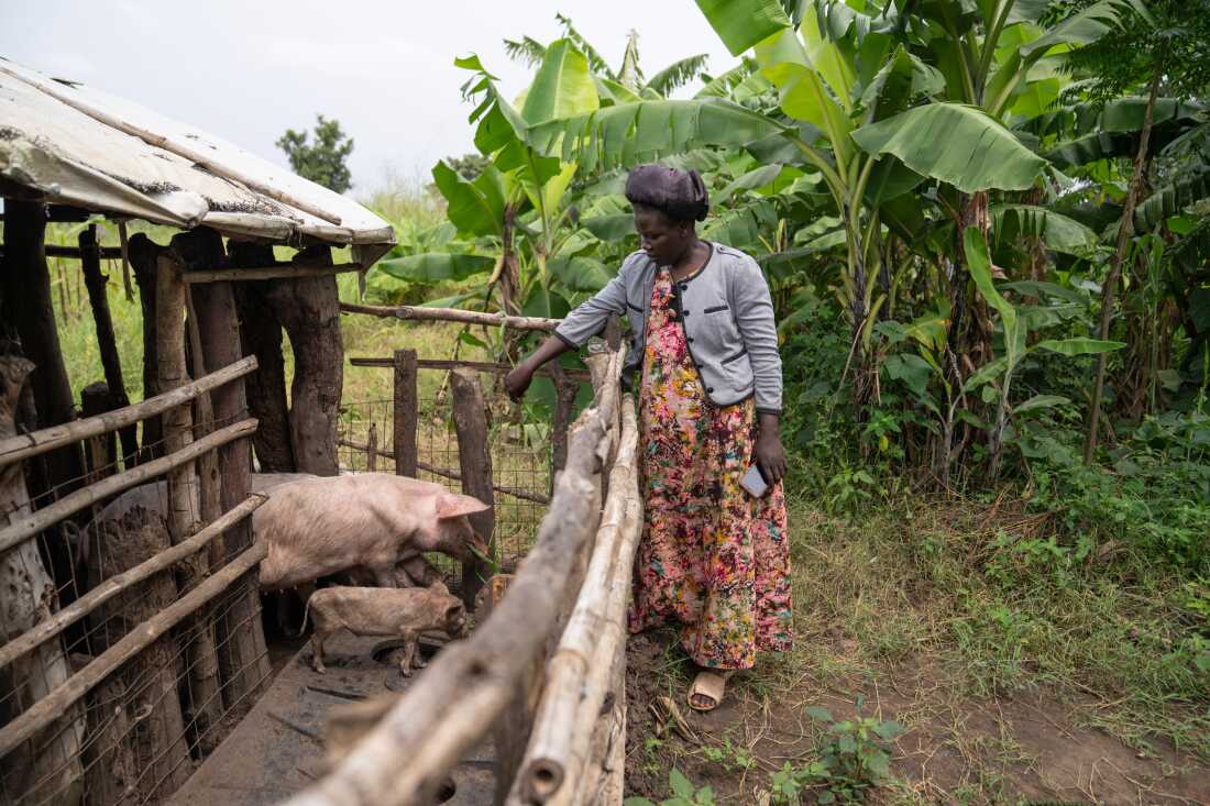 Florence Amungo, 34, a refugee from South Sudan who now lives at Palabek Refugee Settlement in Northern Uganda. Amungo was enrolled in AVSI's program for more than 2 months before finding out the program was cut due to USAID cuts. She had started some small businesses, like a piggery, that she hoped the program would help her grow so that she can support her household of 14 people (her husband, their 5 biological children, and other children that she cares for).