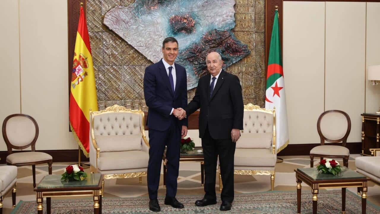 Sanchez Visits Algeria as Spain Seeks Stronger Ties