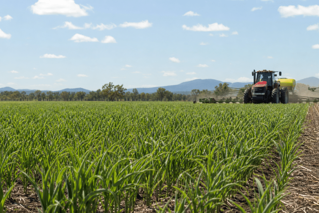 North West Queensland targets $100m crop industry