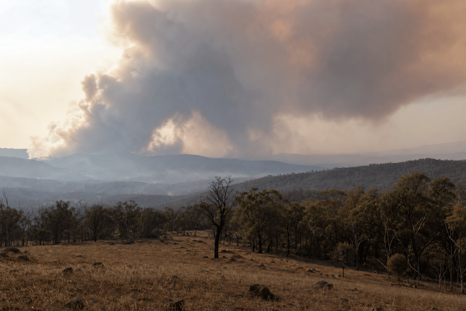 Victorian Bushfire Inquiry Tables 80 Recommendations