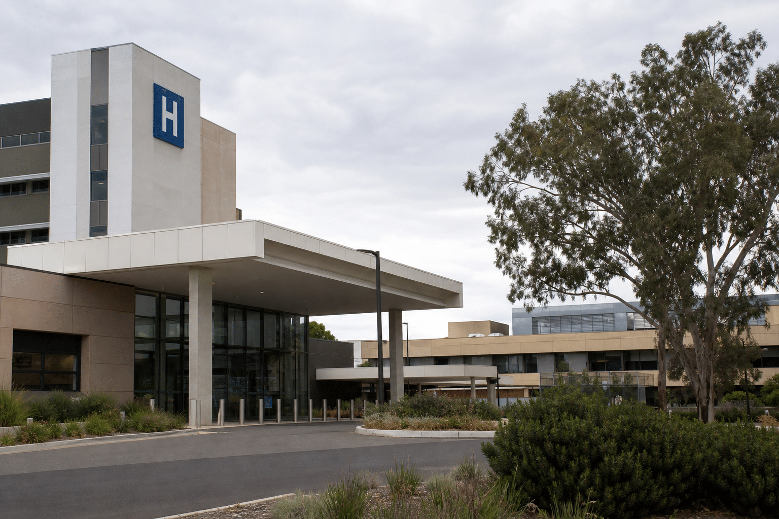 Inquest Examines Kate Manley’s Care at Albury Hospital