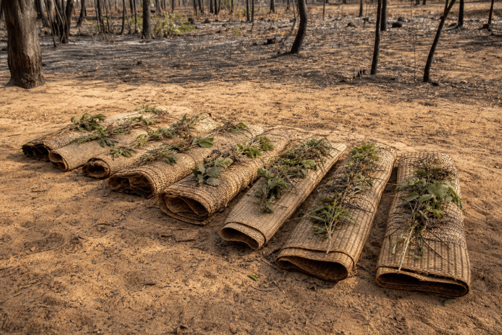 Nine Yolŋu Ancestors Laid to Rest in Arnhem Land