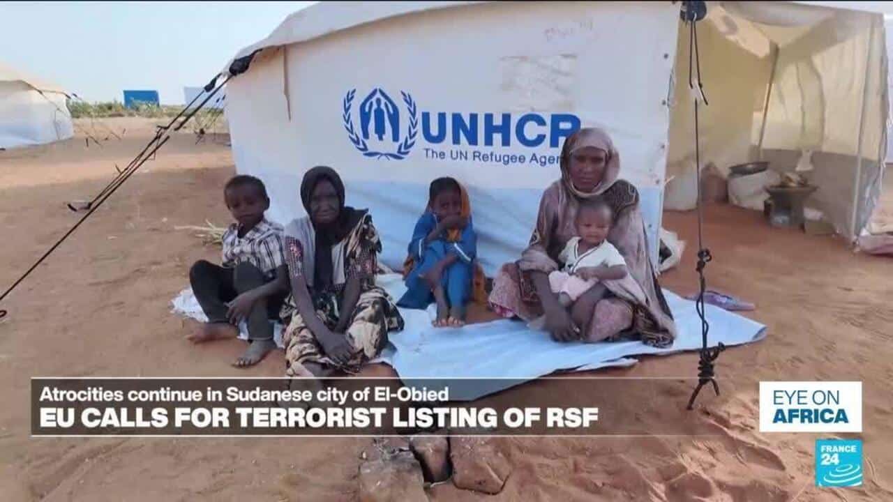 European Parliament calls for listing Sudan's Rapid Support Forces as a terrorist organisation