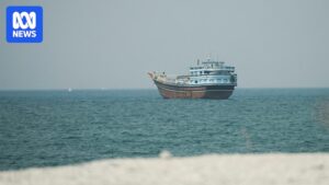 US President Donald Trump speaking about plans to control the Strait of Hormuz