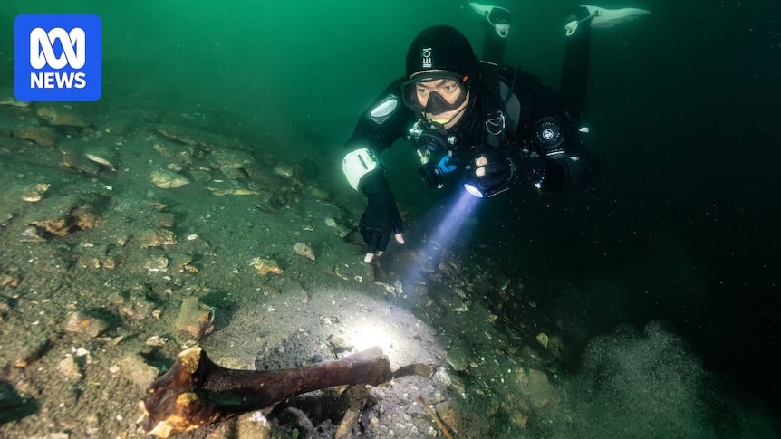 Fossil fragments scattered on the bottom of a Mount Gambier sinkhole (underwater cave)