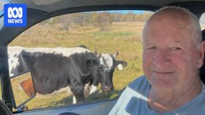 Grant Whelan recovering in hospital after being tied, assaulted and robbed at his Coles Bay home that was set on fire