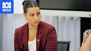 Federal inquiry hearings in Darwin into racism, showing committee members and witnesses in the chamber