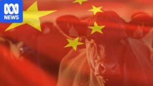 Frozen beef cartons in cold storage illustrating large Chinese stockpiles amid tariff-related export halt