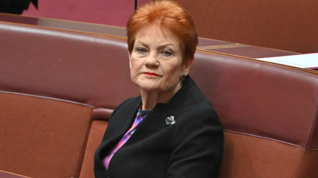 Advocates condemn Hanson’s domestic violence comments