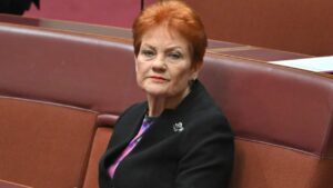 Advocates condemn Hanson’s domestic violence comments