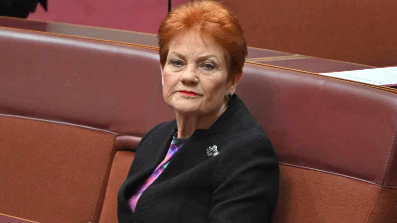 Advocates condemn Hanson’s domestic violence comments