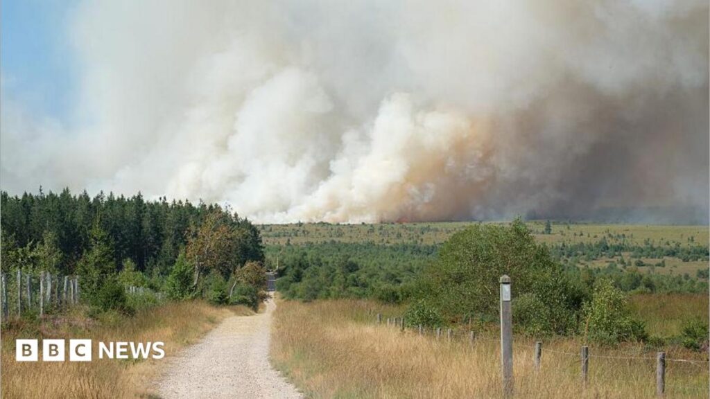 Belgian Firefighters Fight Major High Fens Wildfire