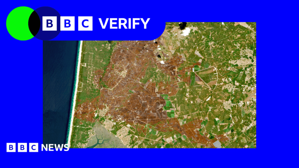 Satellite Images Show Heat Damage Across Western Europe