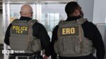 ICE Plans Purchase of Electric-Shock Gloves