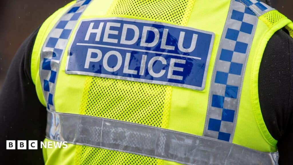 Four arrested after violent disorder near Pontypool