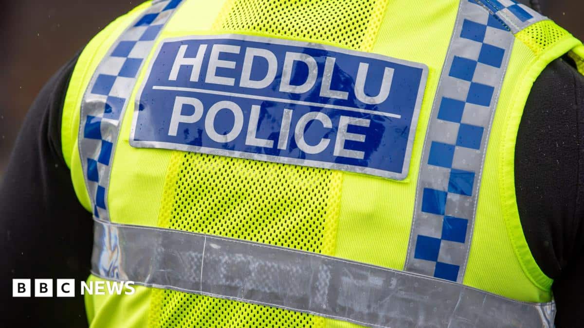 Four arrested after violent disorder near Pontypool