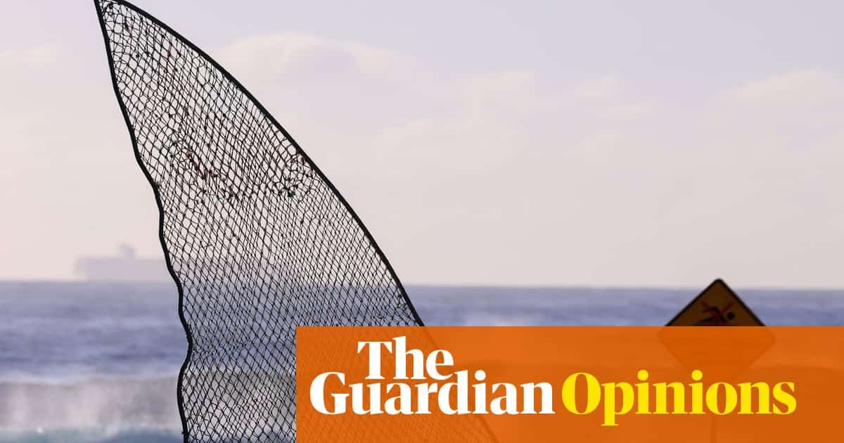 Fear Tests Australia’s Changing Approach to Sharks