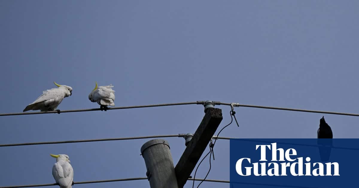 Solar Sharer Faces Concerns Over Higher Charges