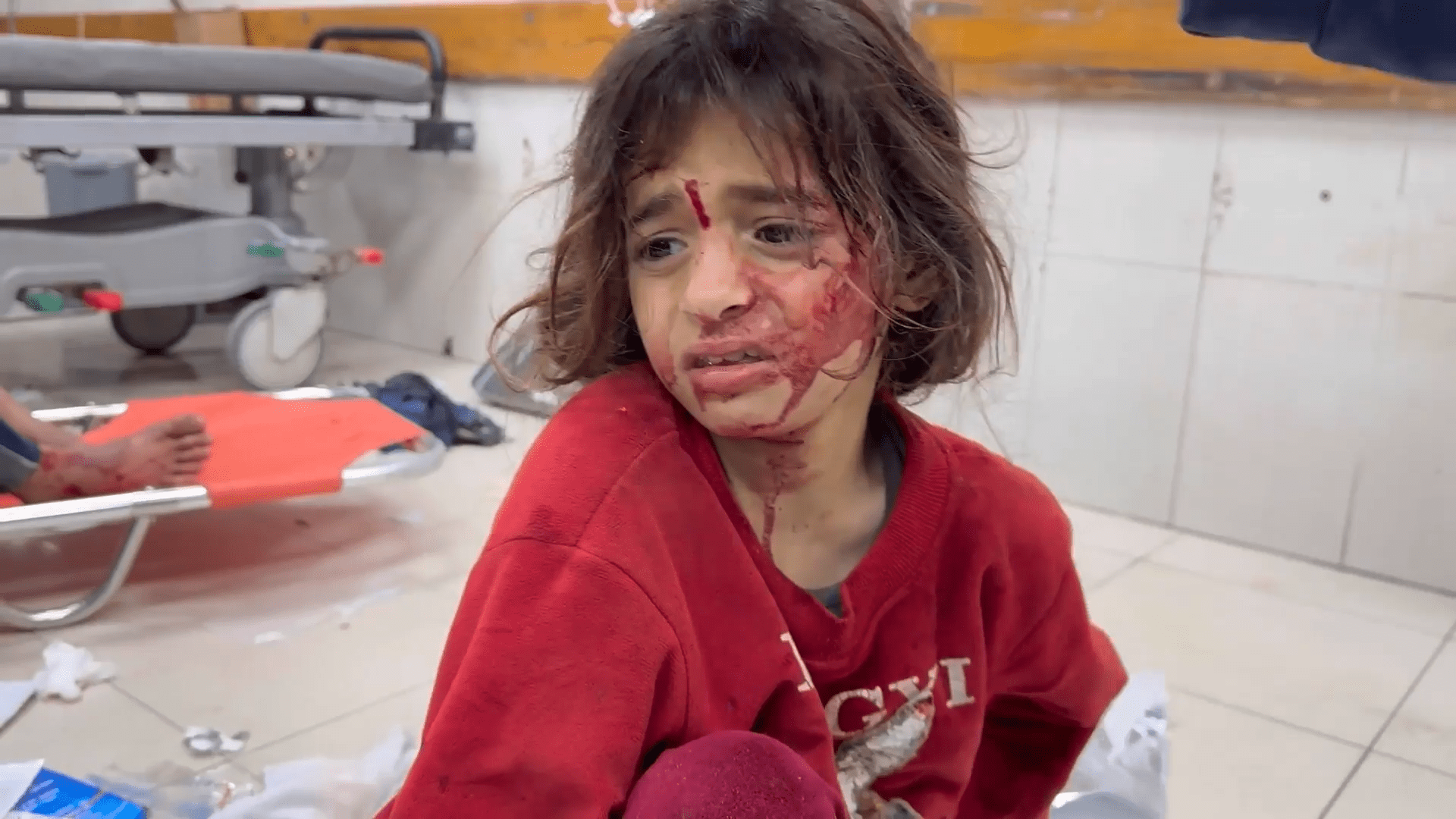 Lawyer Calls Gaza Attacks on Women Genocide