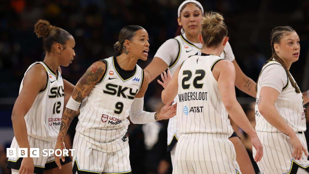 Sex toys disrupt two WNBA matches