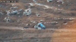 EU-Sanctioned Settler Linked to Donkey’s Death
