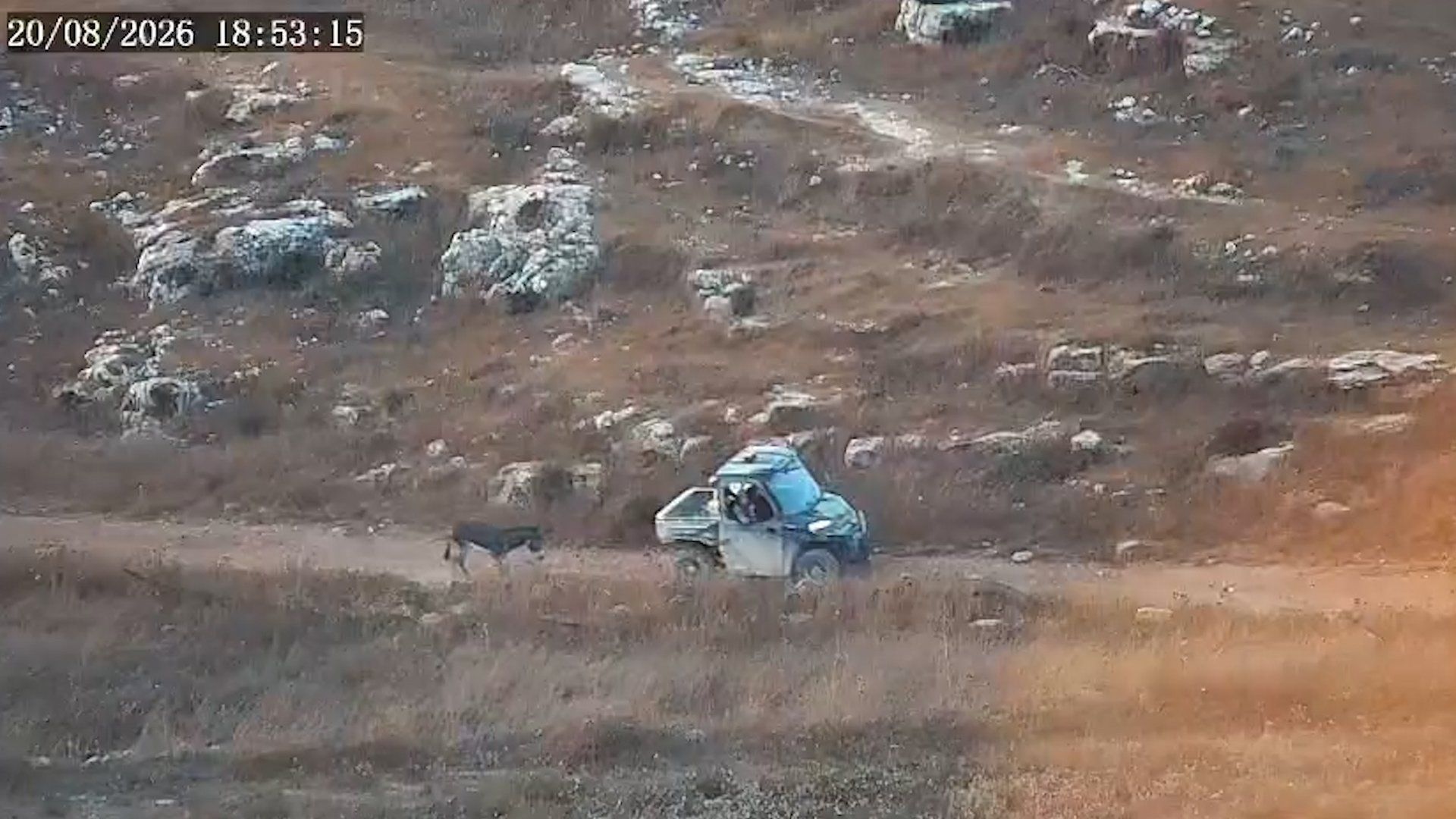EU-Sanctioned Settler Linked to Donkey’s Death