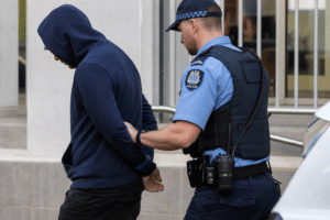 Perth Man Charged Over Pauline Hanson Threats
