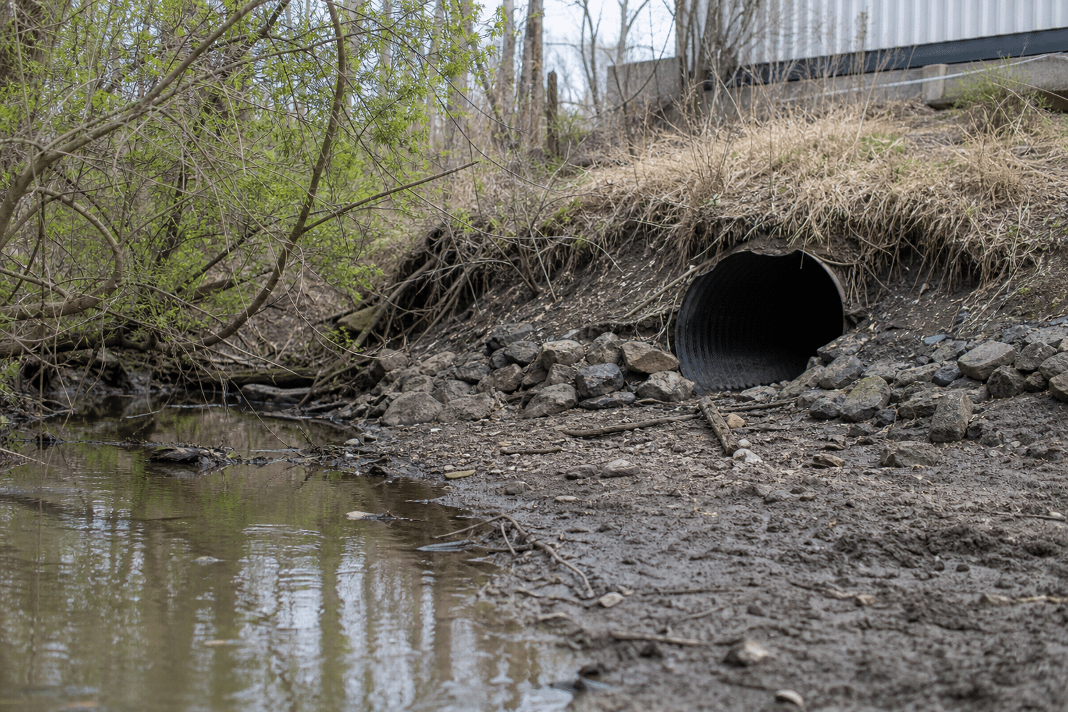 EPA Orders Waste Cleanup Near Clarence River Tributary