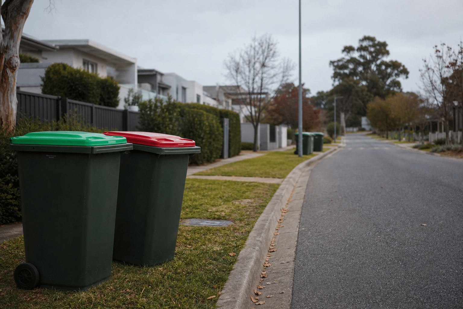Canberra FOGO Rollout Delayed Until 2030