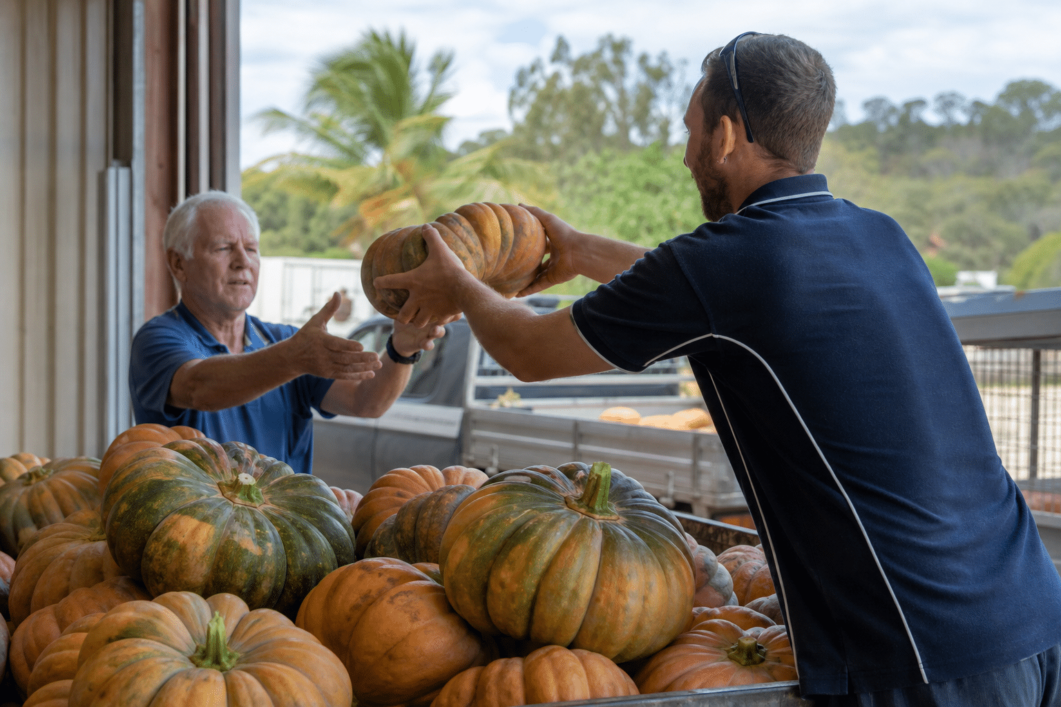 Pumpkin Deliveries Nourish Whitsunday Community