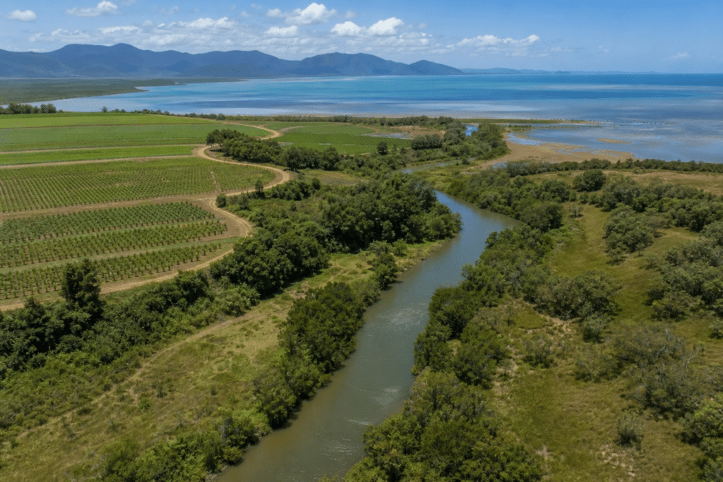 Farm changes tied to better reef catchment water
