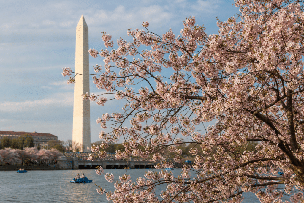 Record Warm Winter Signals Hot Spring for South-East Capitals