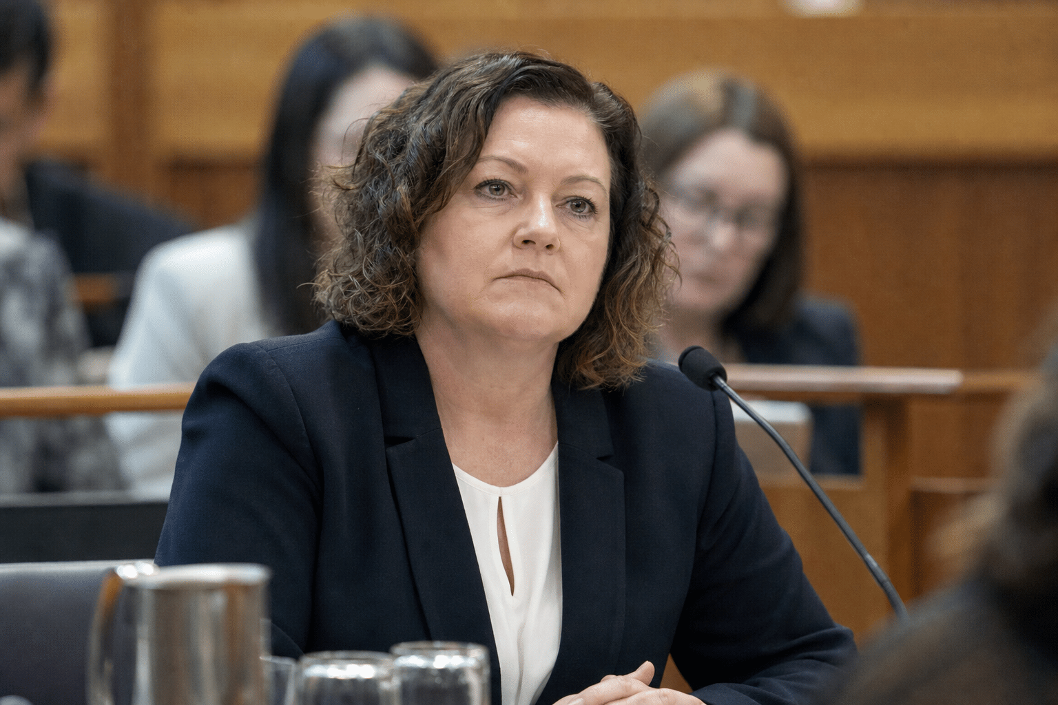 Howlett Defends Staffer Declaration at Tasmania Hearing