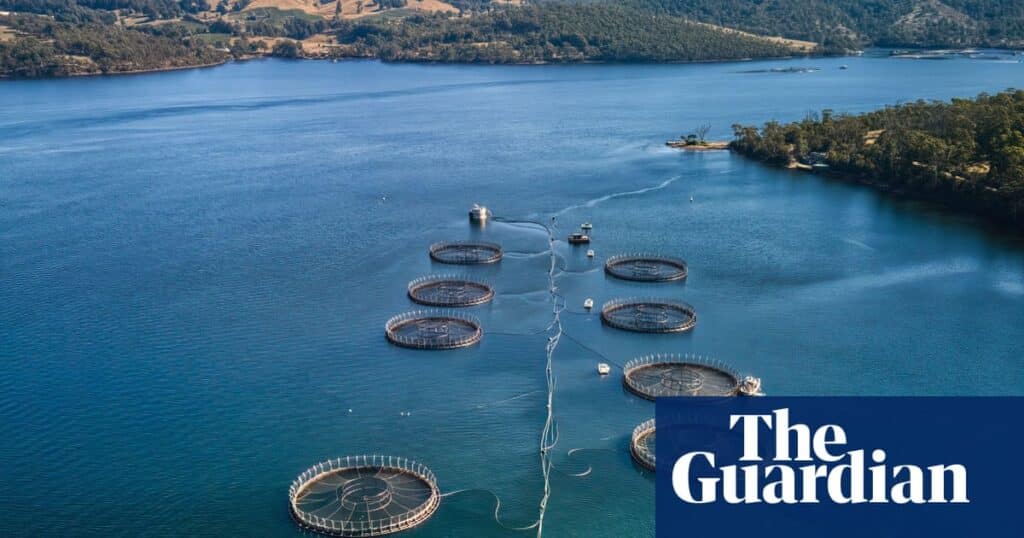 Tasmanian Salmon Farms Used 150,488 Seal Deterrent Explosives
