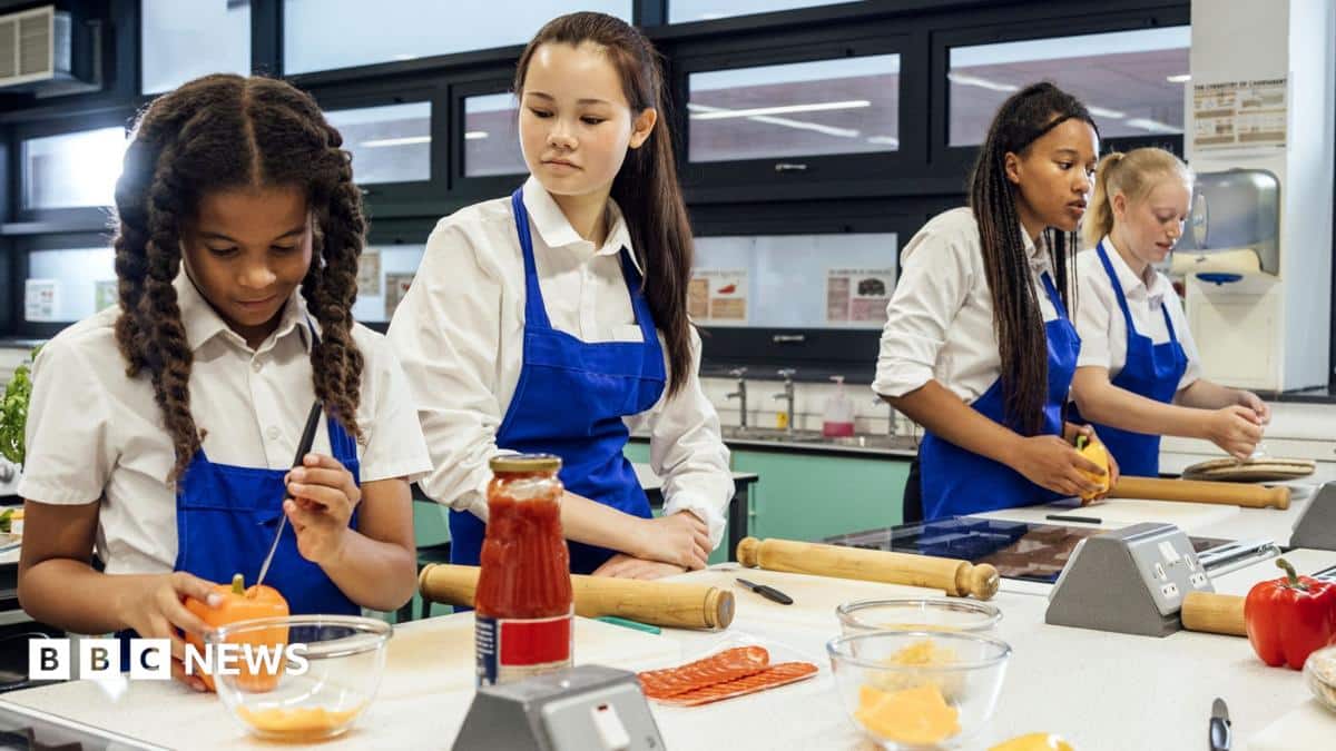 Vocational GCSEs planned for England from 2029