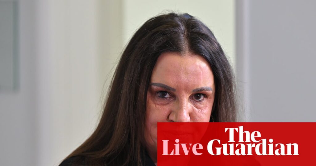 Lambie Warns on AI Copyright and Data Centres