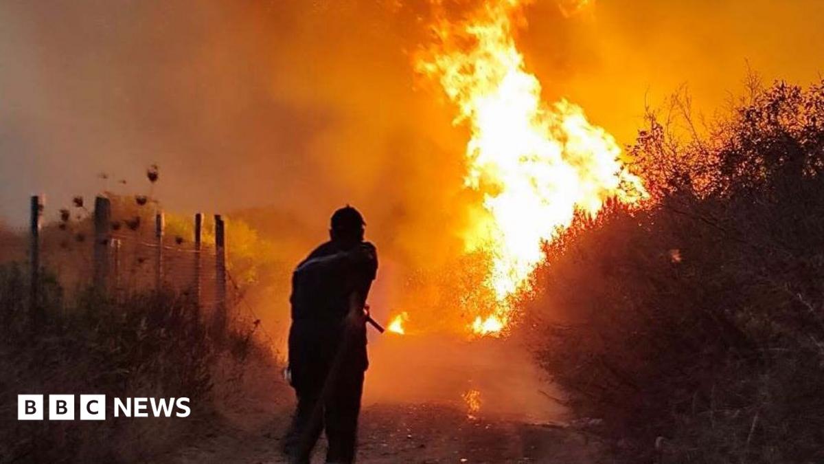 Algeria President Seeks Death Penalty for Arsonists