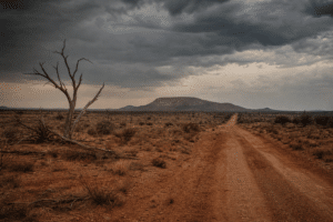 ABC News Lists Creepy Outback Films