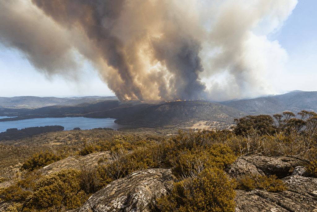 Tasmania Braces for High and Extreme Fire Danger